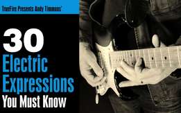 Andy Timmons - 30 Electric Expressions You Must Know